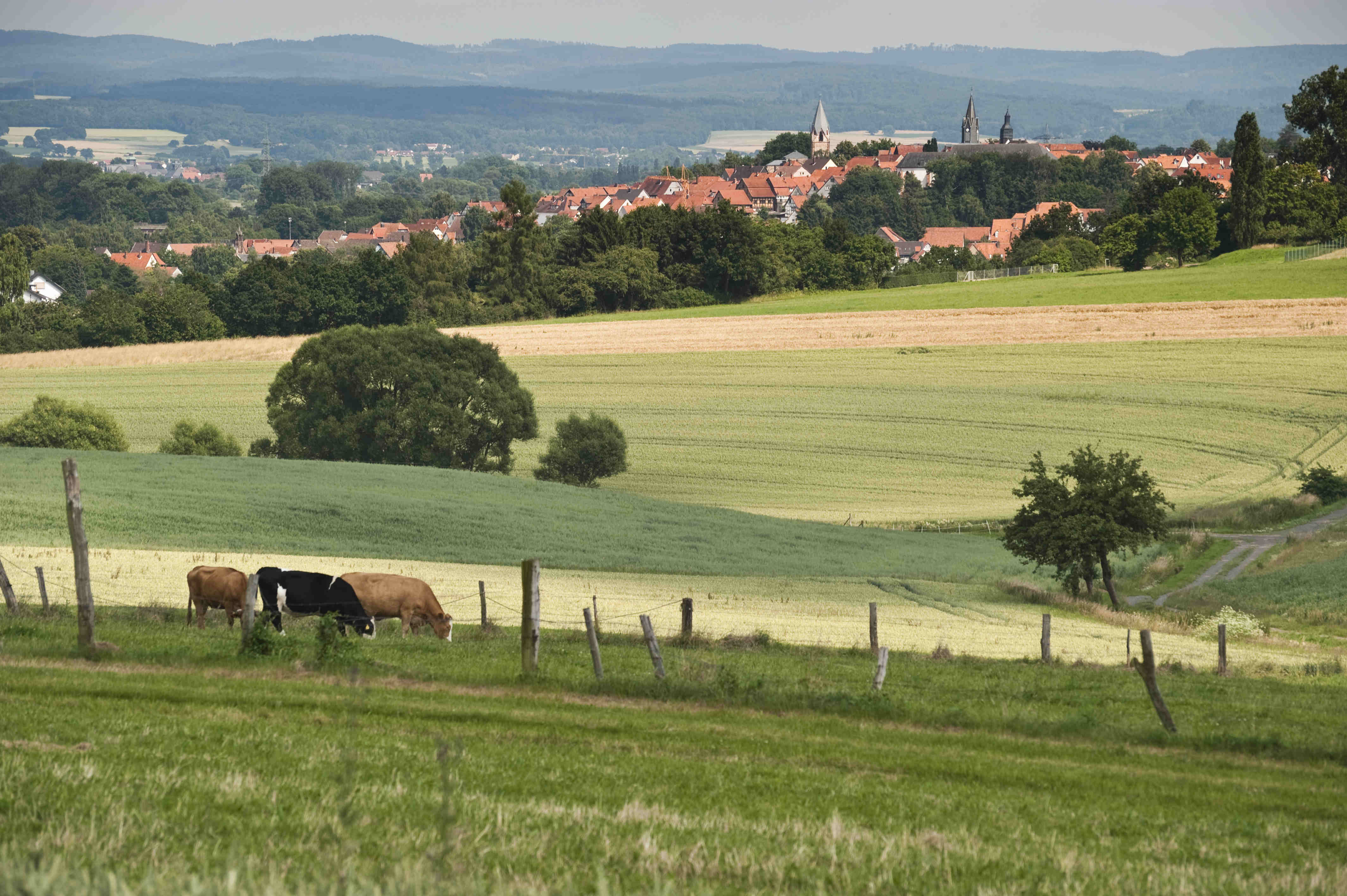 Er sucht sie schwalmstadt